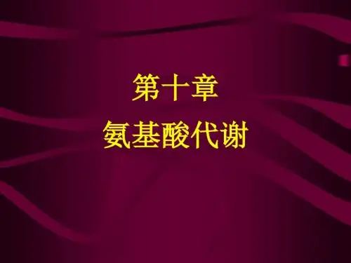 第11章氨基酸代谢-文档资料