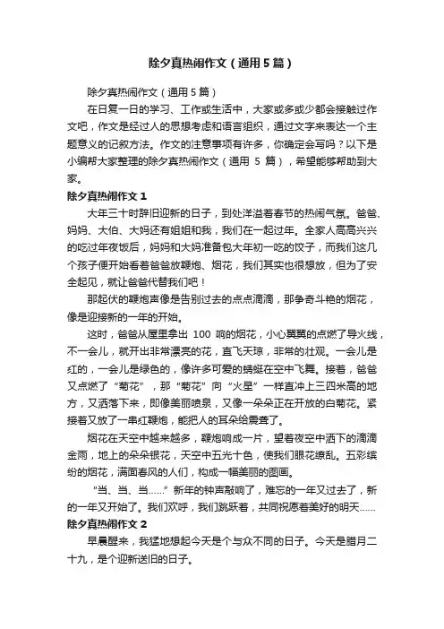 除夕真热闹作文（通用5篇）