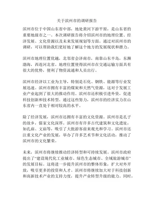关于滨州市的调研报告