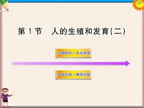 八年级生物上册 第十九章 第一节 人的生殖和发育(二)课件 北师大版