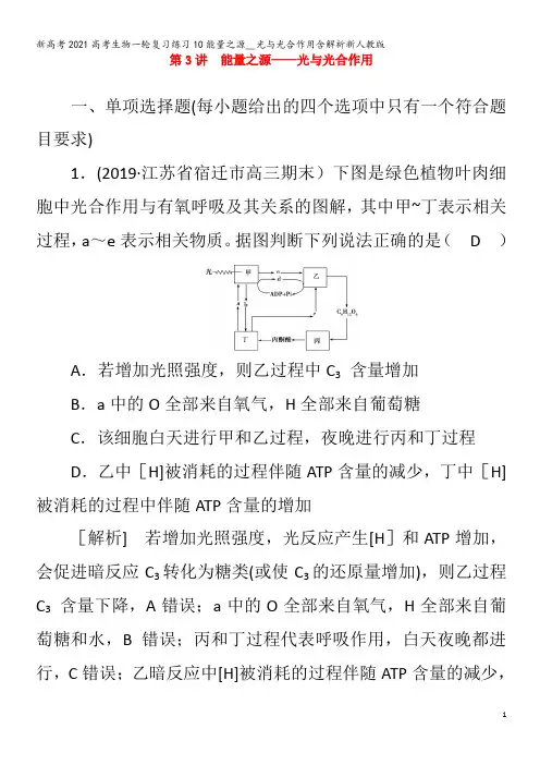 生物一轮复习练习10能量之源__光与光合作用含解析