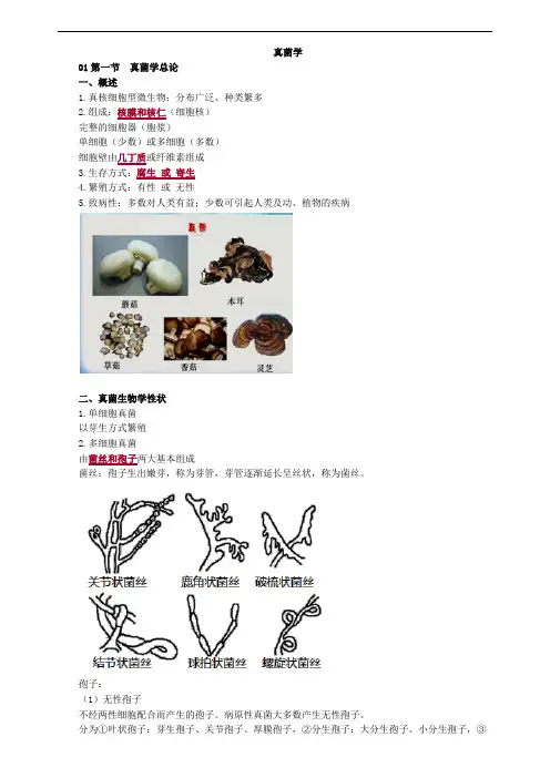 真菌学考点总结