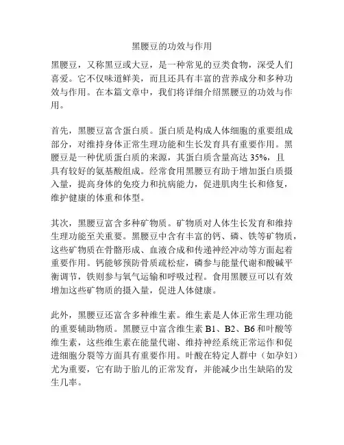黑腰豆的功效与作用