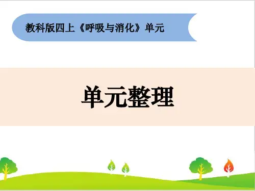 最新教科版四年级上册科学二单元《呼吸与消化》单元整理教学课件