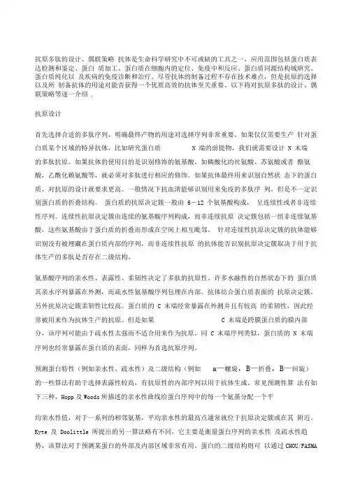 抗原多肽的设计、偶联策略