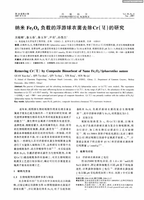纳米Fe3O4负载的浮游球衣菌去除Cr(Ⅵ)的研究