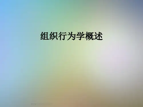 组织行为学概述
