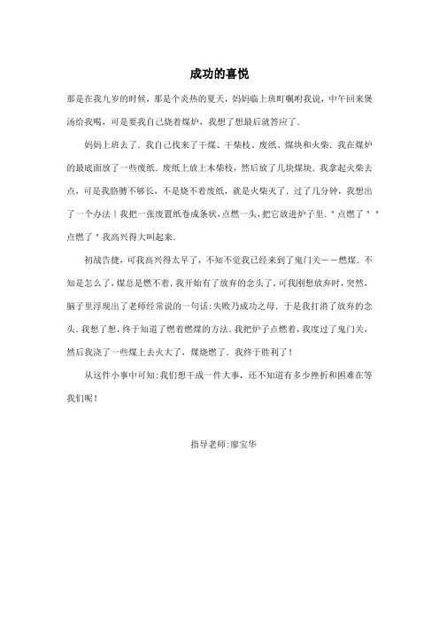 成功的喜悦_小学六年级作文400字_1