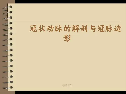 冠状动脉的解剖与冠脉造影