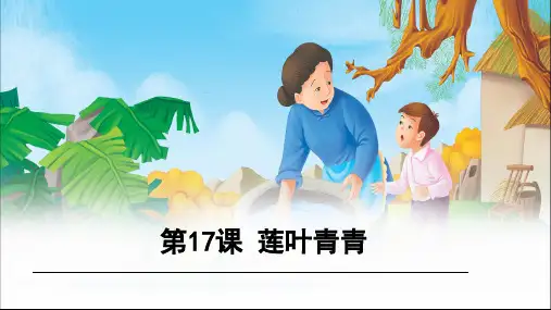 四年级语文下册第五单元17莲叶青青课件语文S版
