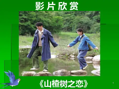 蒹葭ppt课件完美版