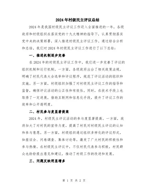 2024年村级民主评议总结