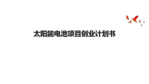 太阳能电池项目创业计划书