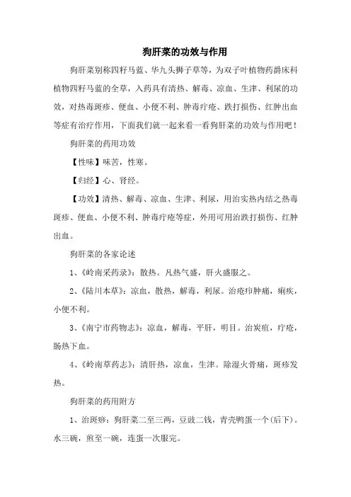 狗肝菜的功效与作用