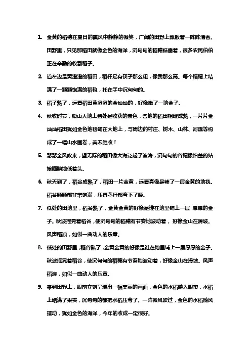 形容稻田的优美句子