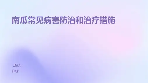 南瓜常见病害防治和治疗措施