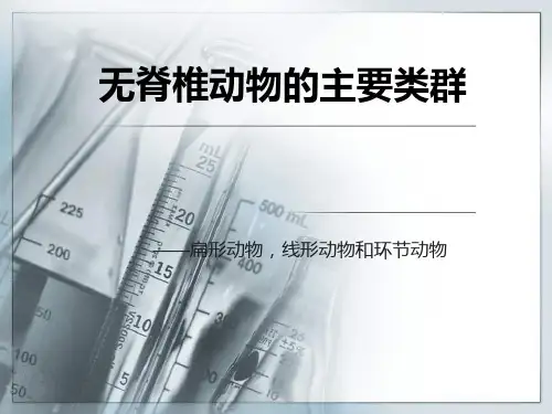 无脊椎动物的主要类群