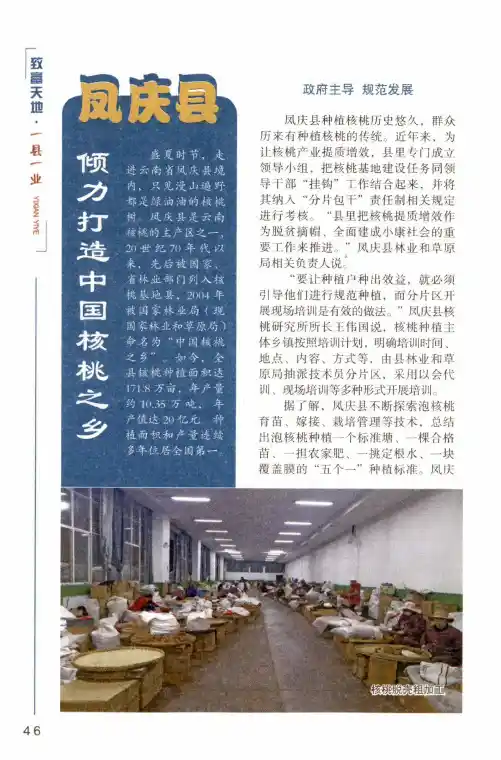 凤庆县 倾力打造中国核桃之乡