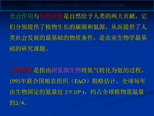 豆科根瘤分子细胞生物学课件