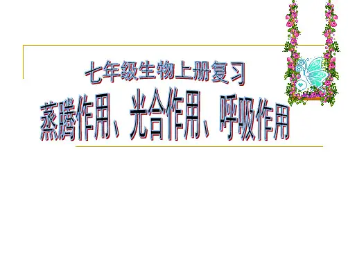 【中考复习】总复习 绿色植物三大生理作用