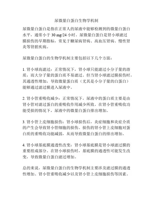尿微量白蛋白生物学机制
