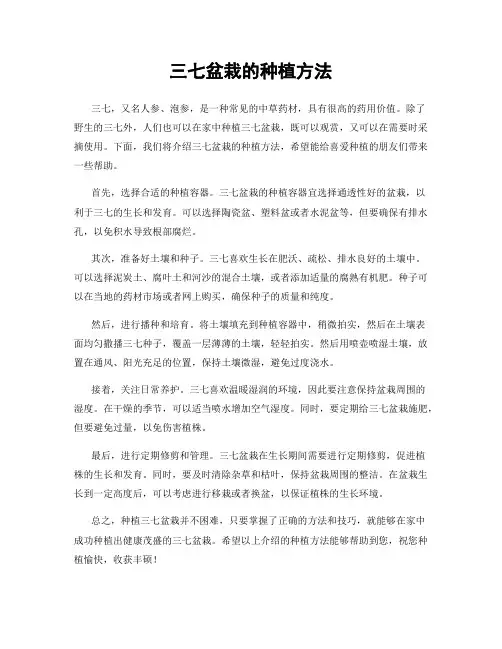三七盆栽的种植方法