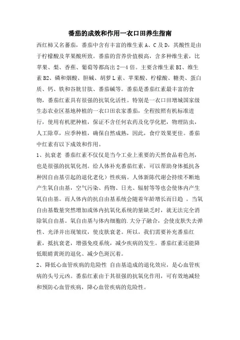 番茄的功效和作用一衣口田养生指南