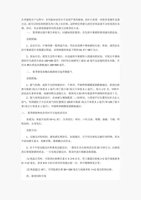 猪的急救方法