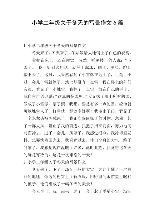 小学二年级关于冬天的写景作文6篇