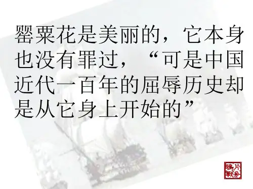 第1课中英鸦片战争课件