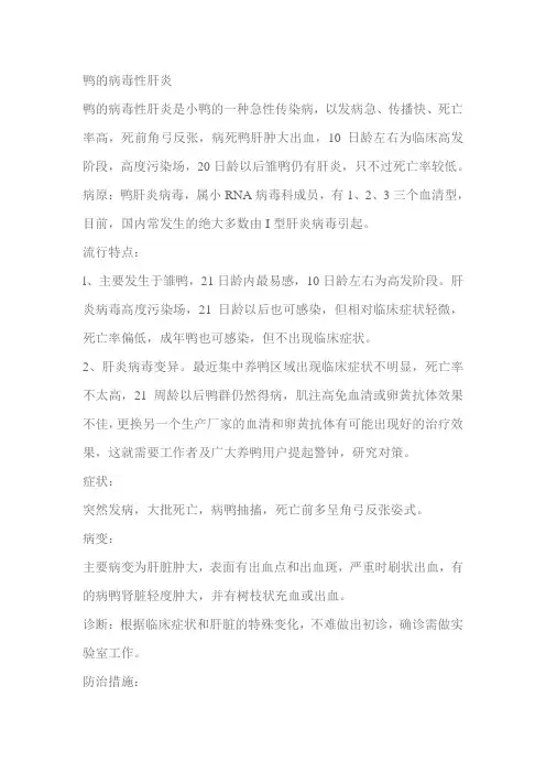 鸭子病毒性肝炎
