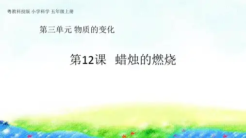 五年级上册科学课件-第12课《蜡烛的燃烧》粤教版(共22张PPT)