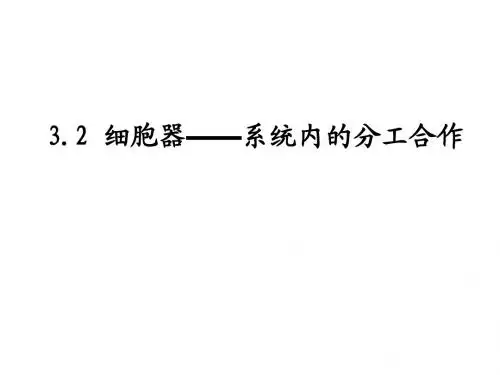 人教版高中生物必修一 3.2 细胞器