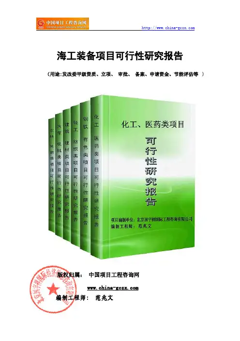 海工装备项目可行性研究报告(案例分析)