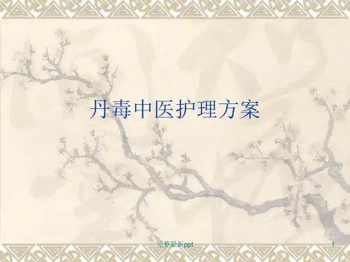 丹毒中医护理方案ppt课件