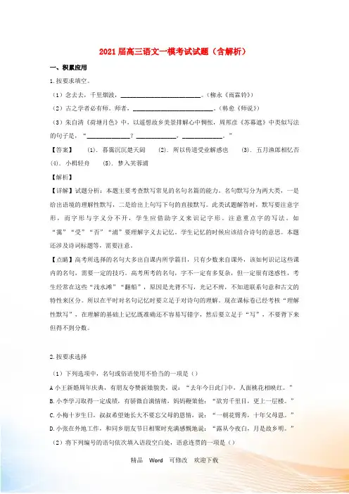 上海市2021年高三语文一模考试试题(含解析)