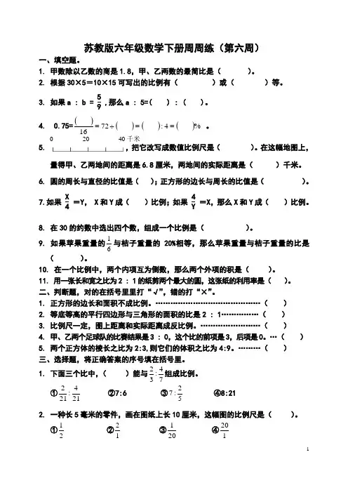 苏教版小学六年级下册数学周周练(第六周)