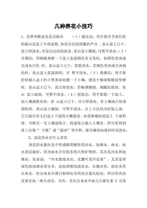几种养花小技巧