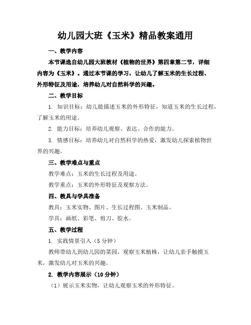 幼儿园大班《玉米》精品教案通用