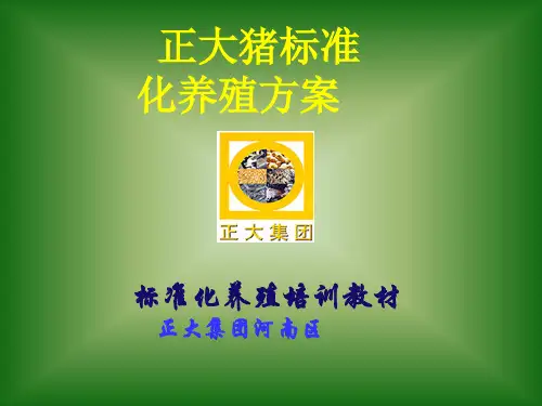 正大猪标准化饲养方案