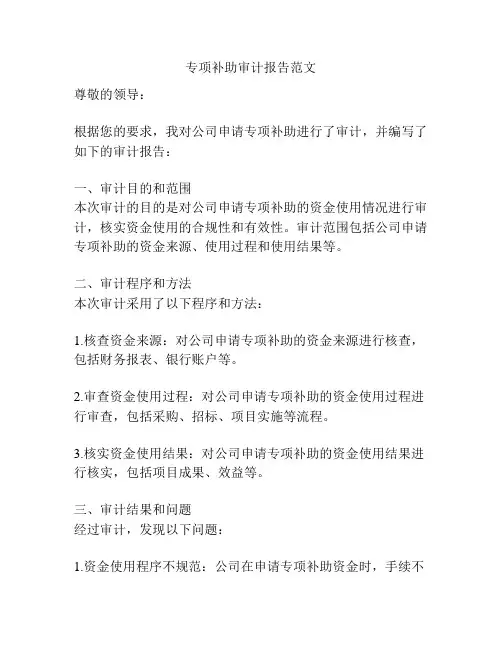 专项补助审计报告范文