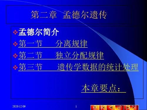 第二章 孟德尔遗传PPT教学课件
