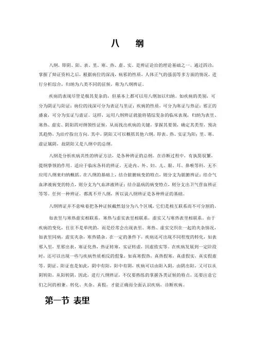 八纲辨证