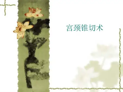 培训学习资料-宫颈锥切术-2022年学习资料