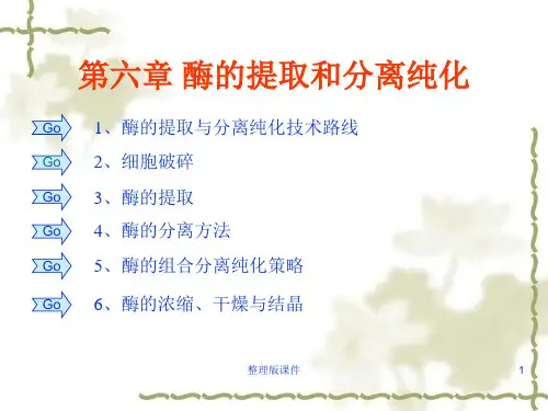酶的提取与分离纯化ppt课件