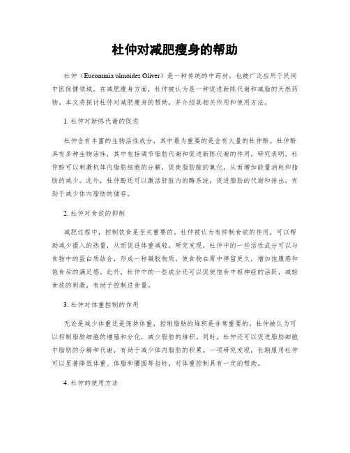 杜仲对减肥瘦身的帮助