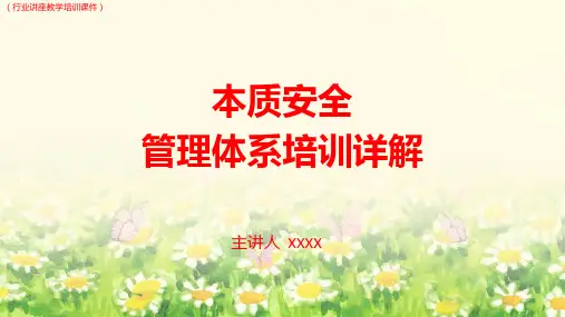本质安全管理体系培训详解(行业讲座教学培训课件)