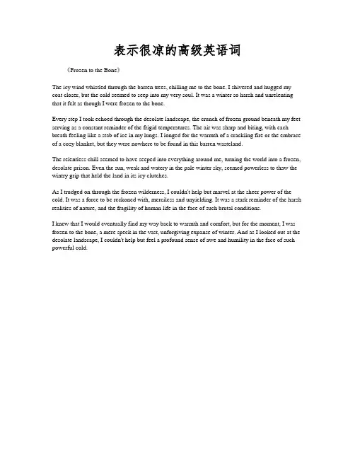 表示很凉的高级英语词