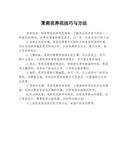 茉莉花养花技巧与方法