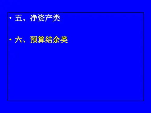 2019年新政府会计制度(净资产结余)ppt课件